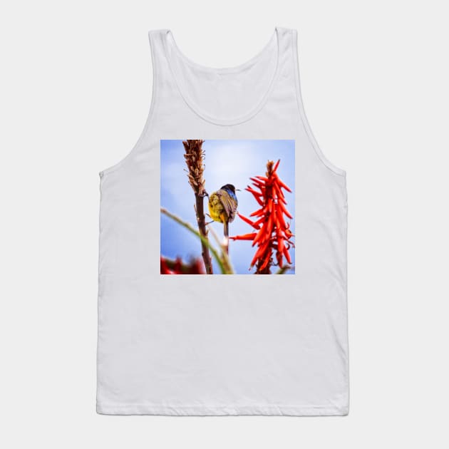 Orange Breasted Sunbird Tank Top by sanityfound